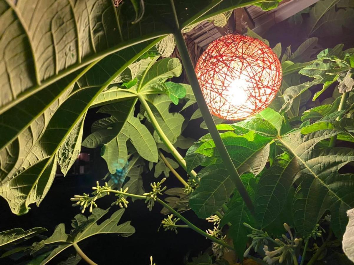Moon Nest Hotel Dhoapalong Kültér fotó